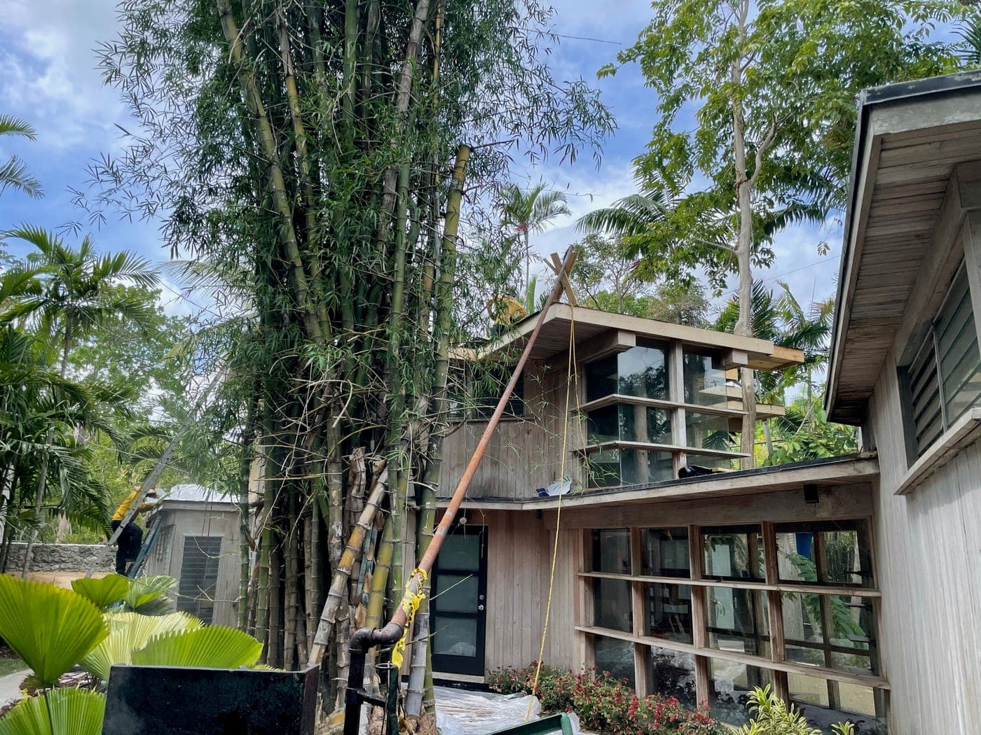 Alfred Browning Parker tropical modernist home, roof restoration detail.